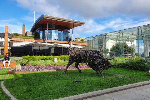 20190414_164750.jpg