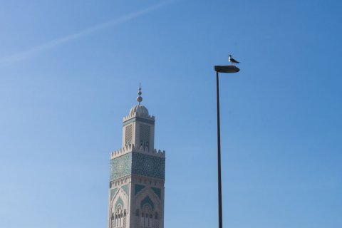 Morocco_(22).jpg