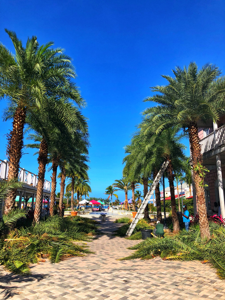 Bahamas_(15).jpg