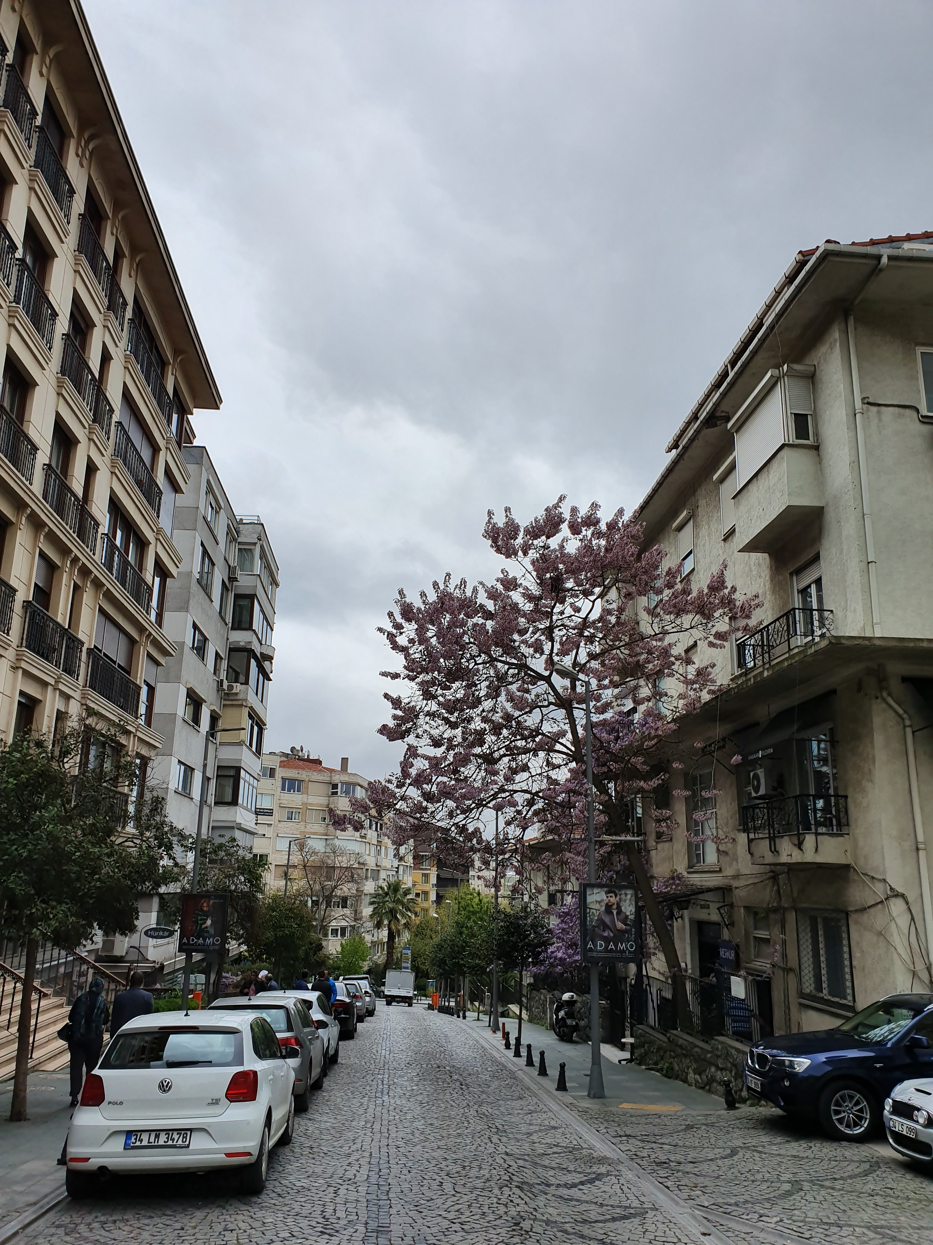 20190415_111132.jpg