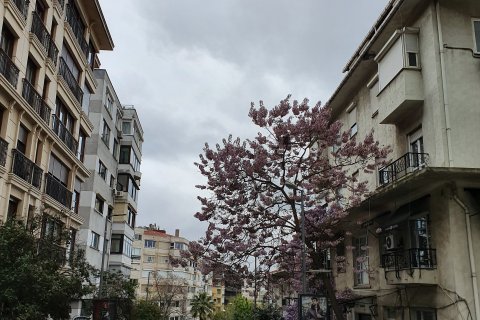 20190415_111132.jpg