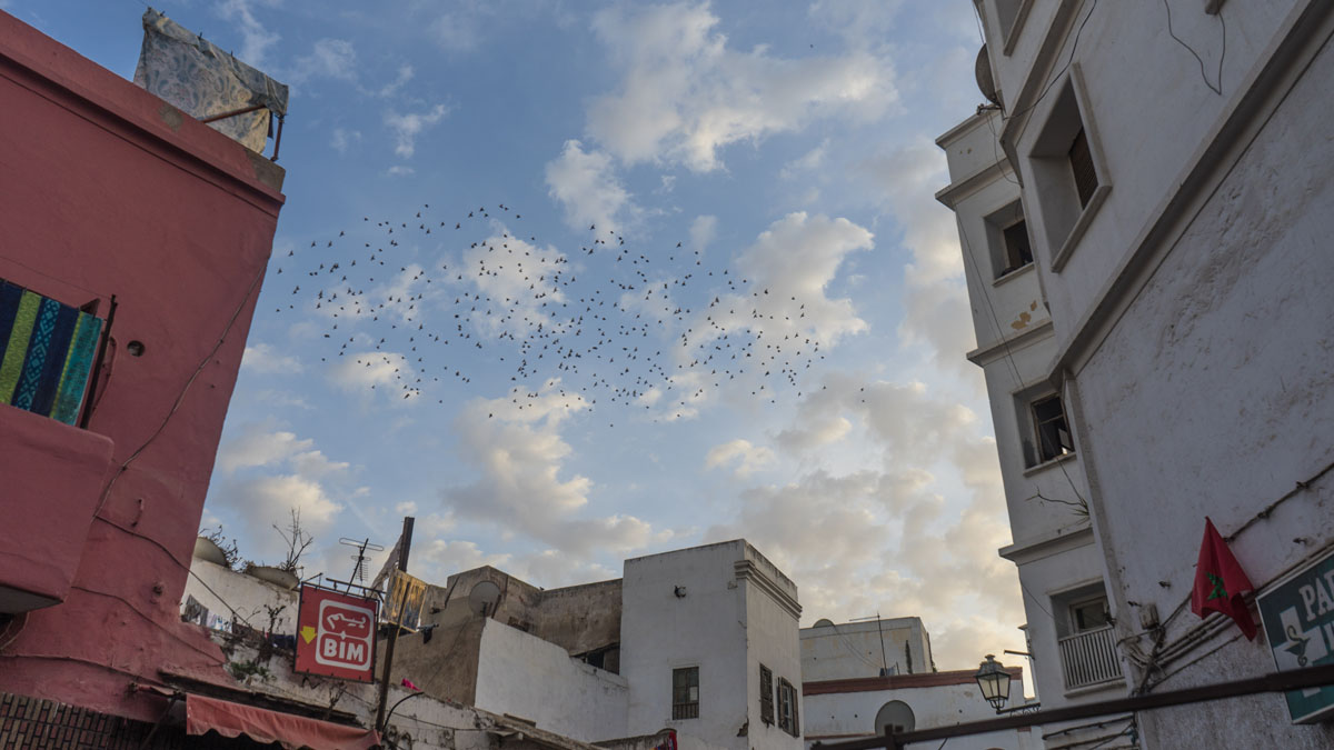 Morocco_(5).jpg