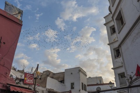 Morocco_(5).jpg
