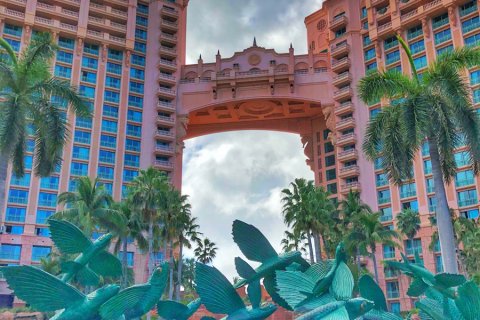 Bahamas_(54).jpg