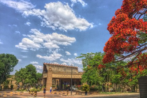zimbabwe_(7).JPG