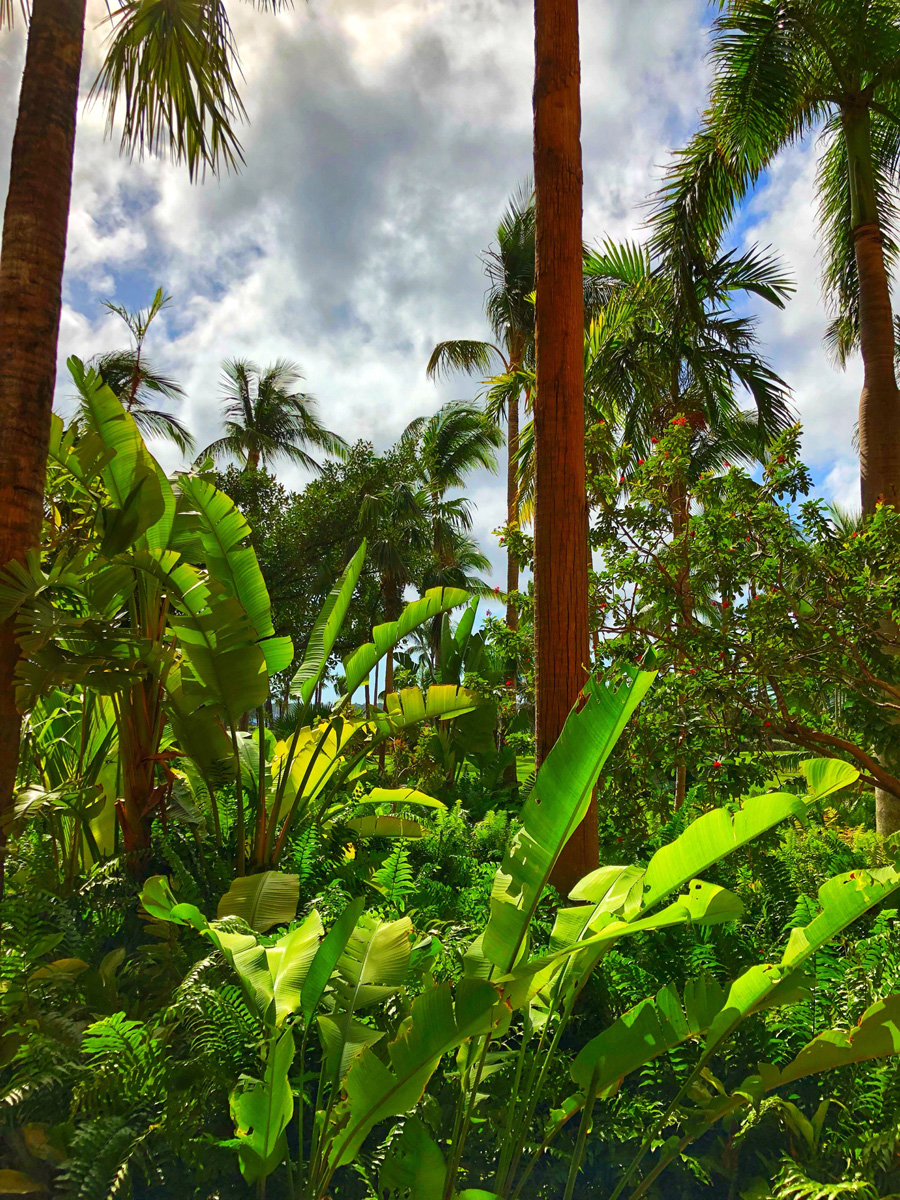 Bahamas_(39).jpg