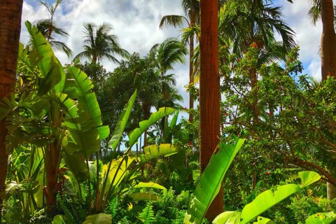 Bahamas_(39).jpg