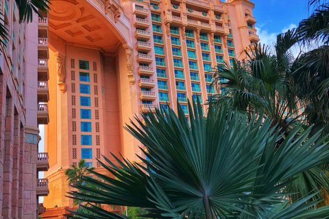 Bahamas_(41).jpg