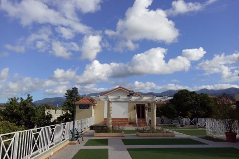 Jamaica_(13).jpg