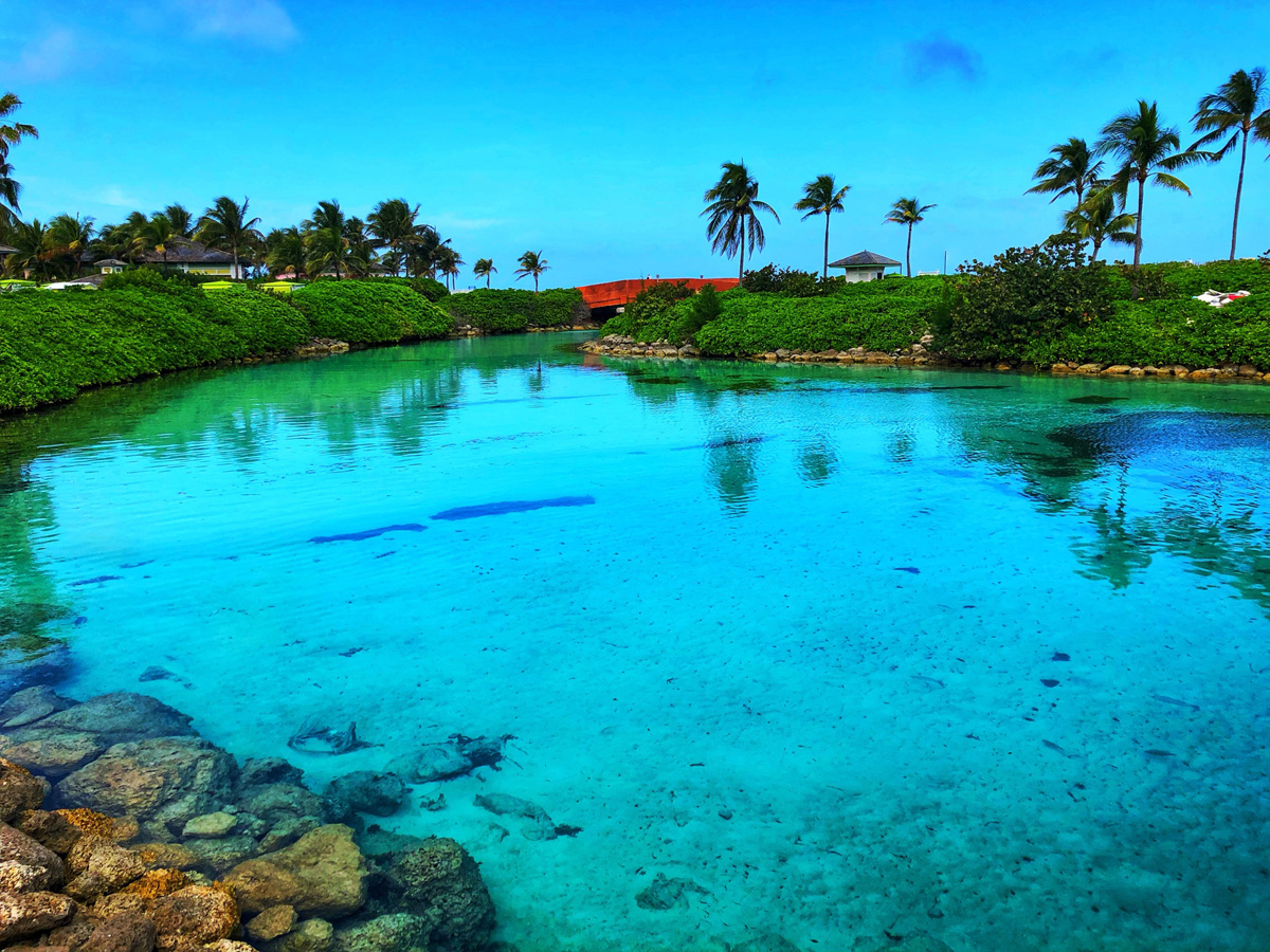 Bahamas_(60).jpg