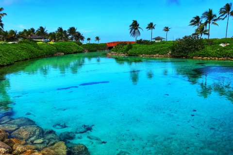 Bahamas_(60).jpg