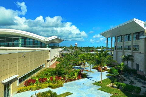 Bahamas_(79).jpg