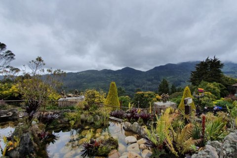 IMG_3965-13-08-19-22-11.JPG