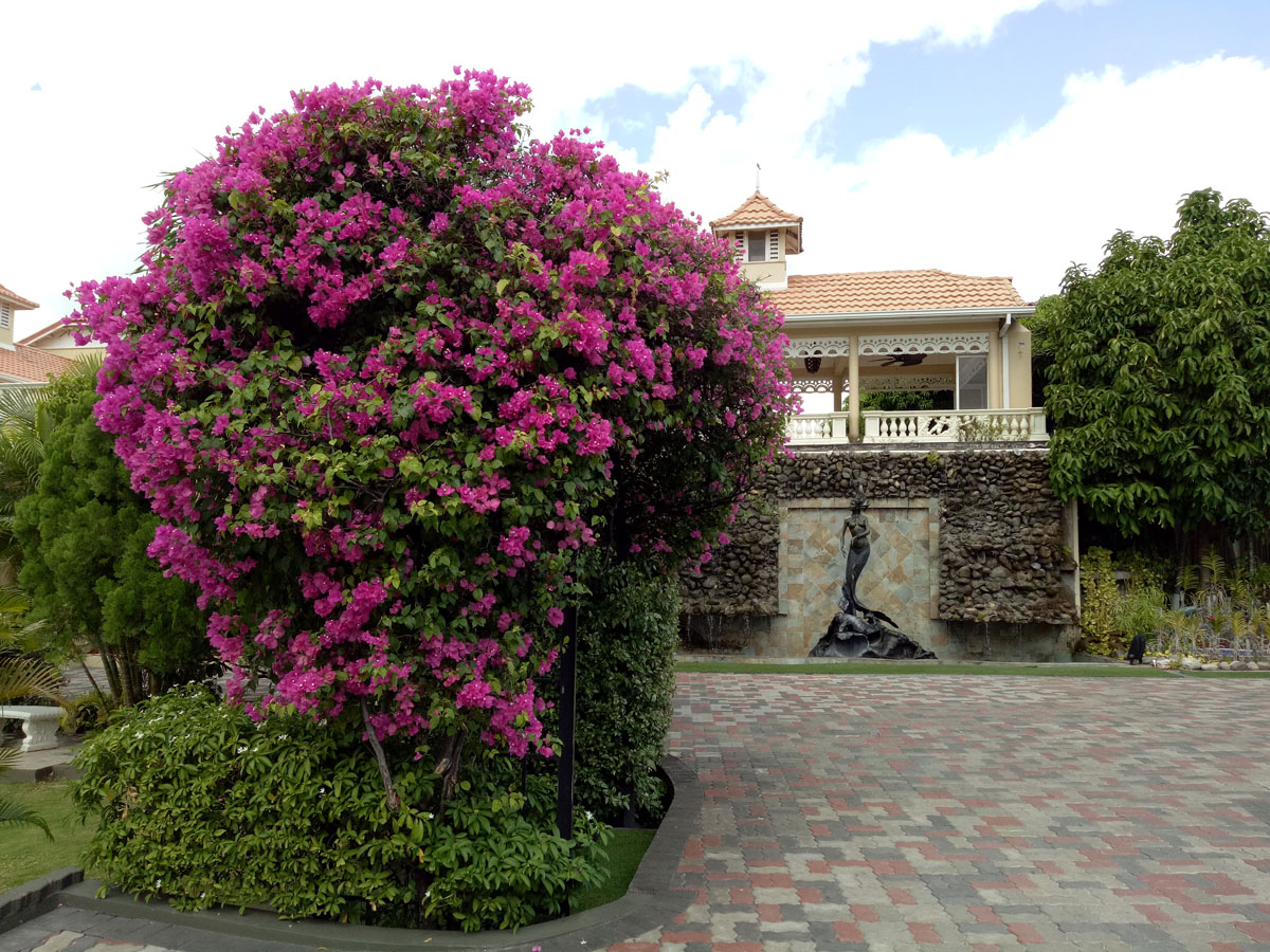 Jamaica_(17).jpg