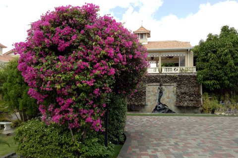 Jamaica_(17).jpg