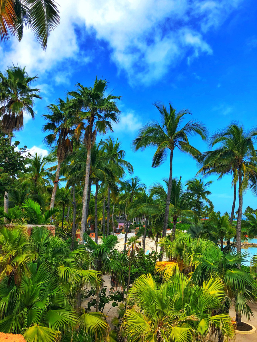 Bahamas_(71).jpg