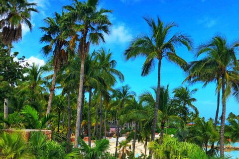 Bahamas_(71).jpg