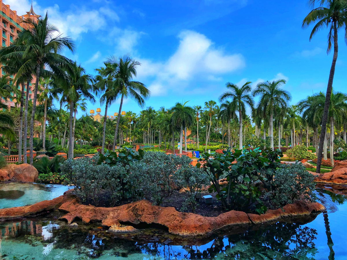 Bahamas_(42).jpg