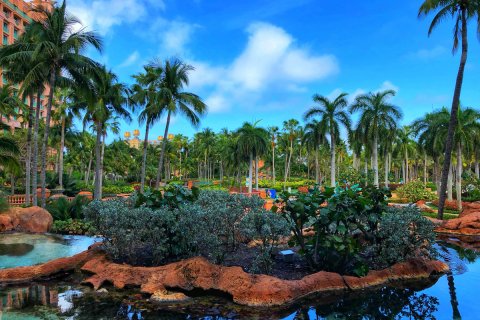 Bahamas_(42).jpg