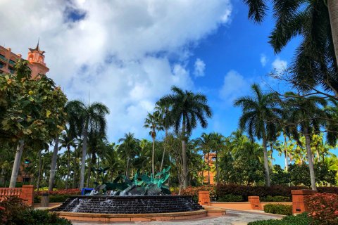Bahamas_(52).jpg