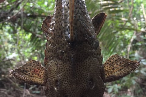 Peru_(21).jpg