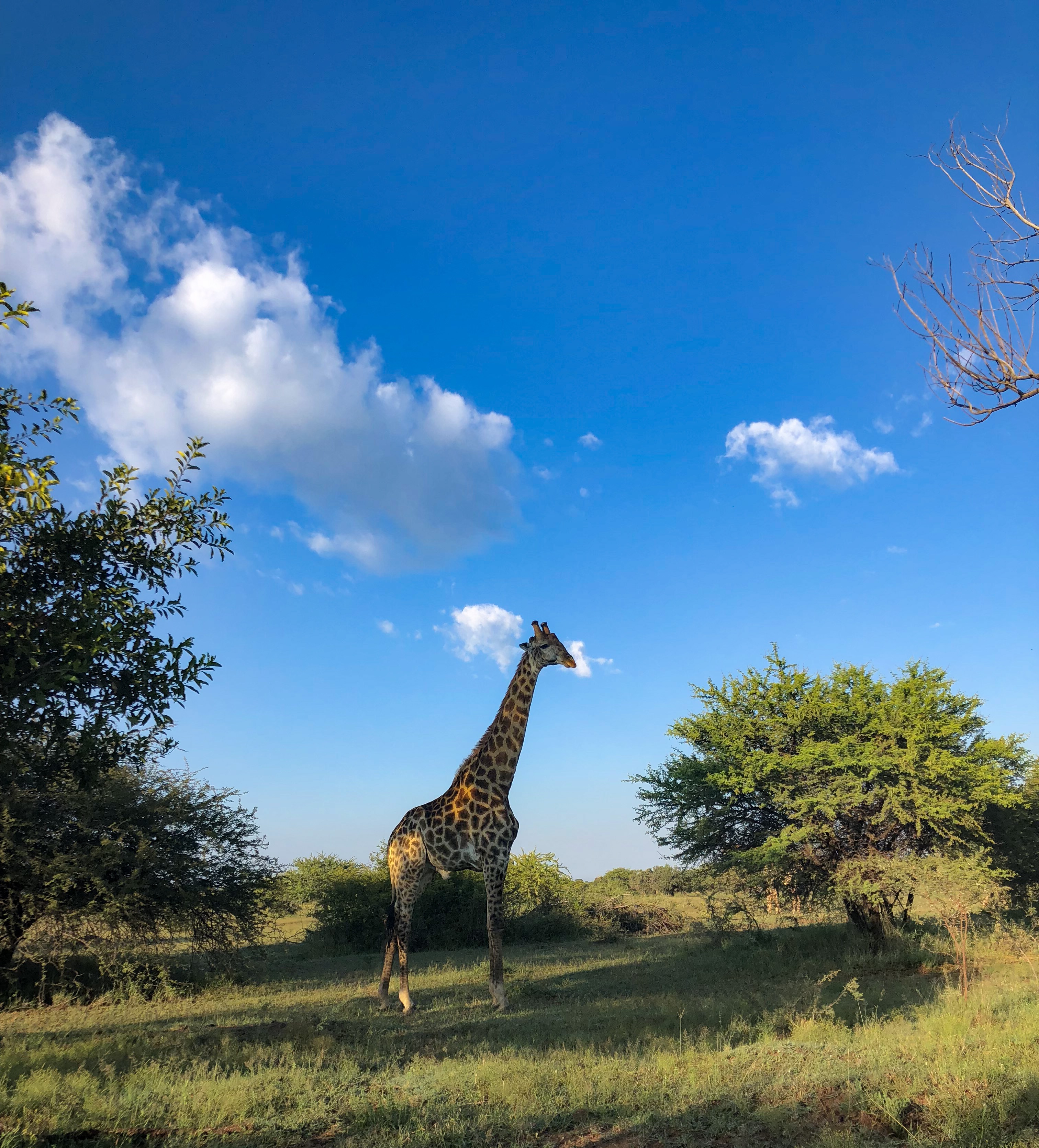 South_Africa_(4).JPG