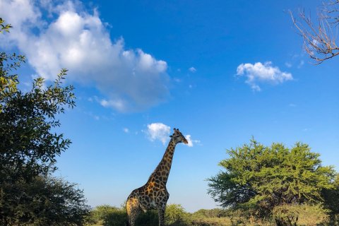 South_Africa_(4).JPG
