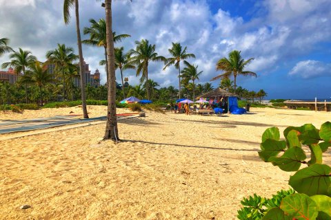 Bahamas_(62).jpg