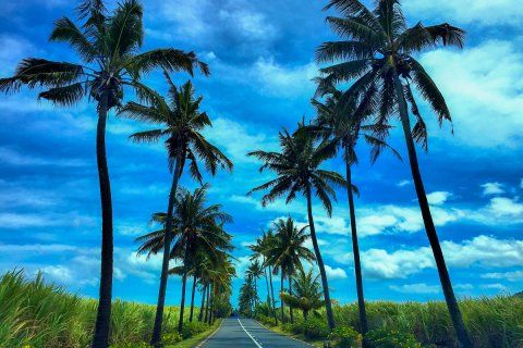 Mauritius