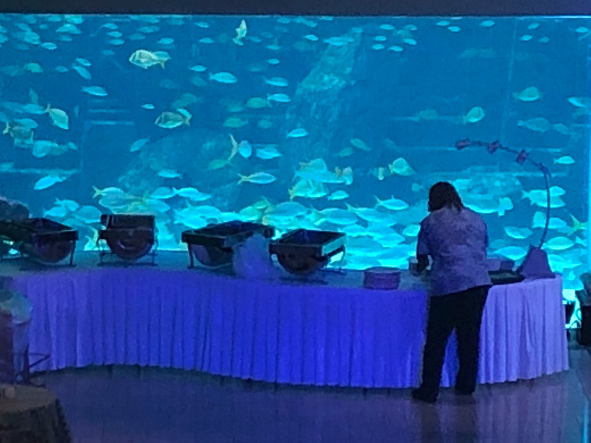 Bahamas_(1).jpg
