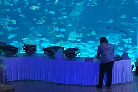 Bahamas_(1).jpg