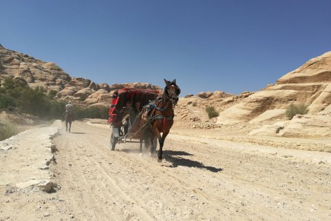Jordan_(11).jpg