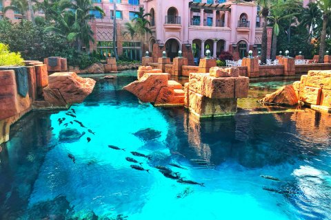 Bahamas_(66).jpg