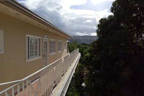 Jamaica_(12).jpg