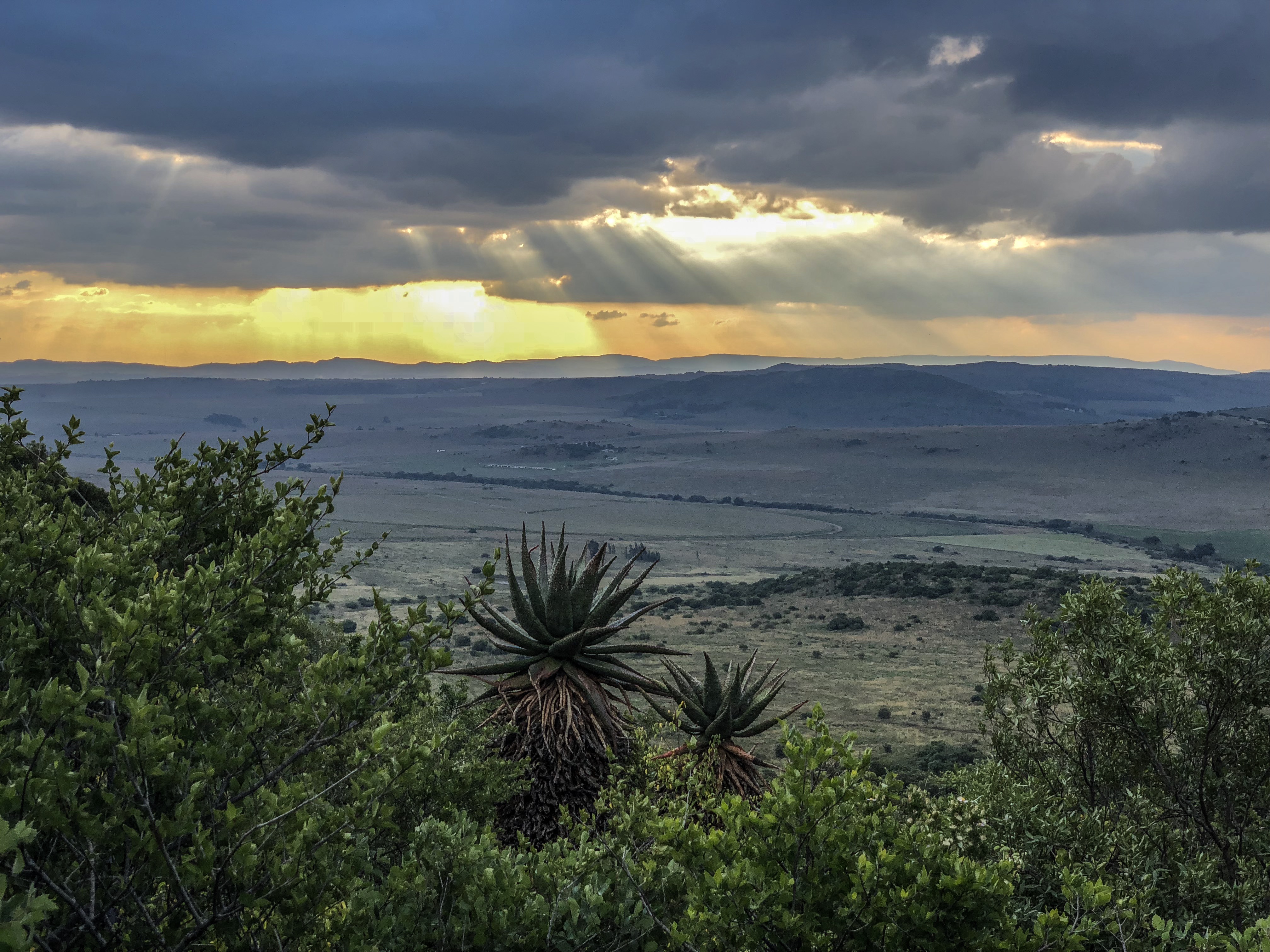 South_Africa_+.JPG