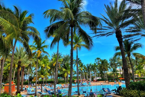 Bahamas_(58).jpg