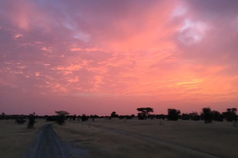 Mauritania_(17).jpg