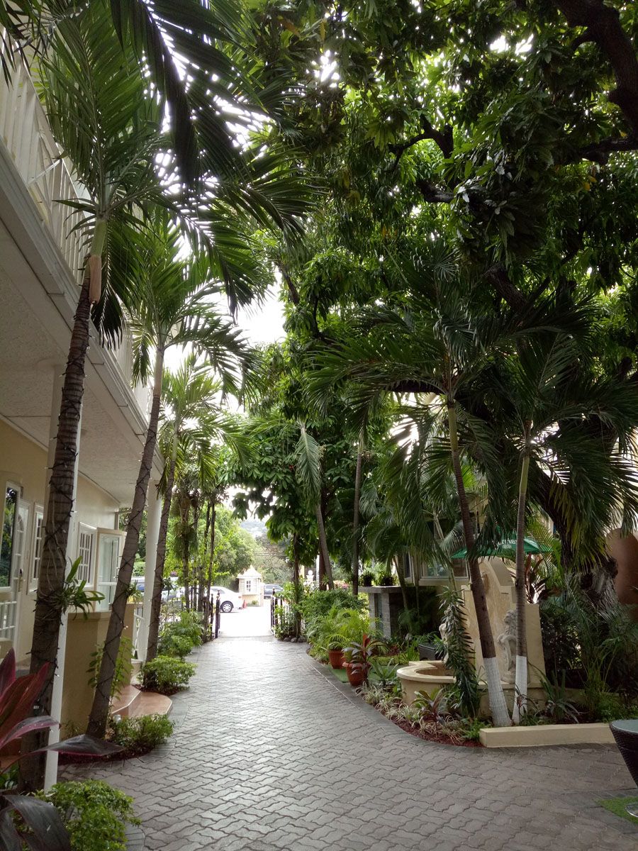 Jamaica_(15).jpg