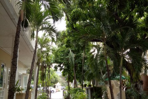 Jamaica_(15).jpg