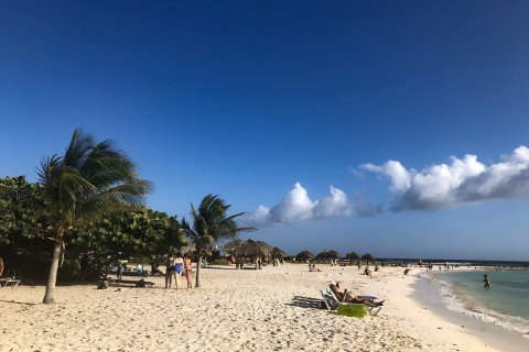IMG_9536-24-01-19-23-36.jpg