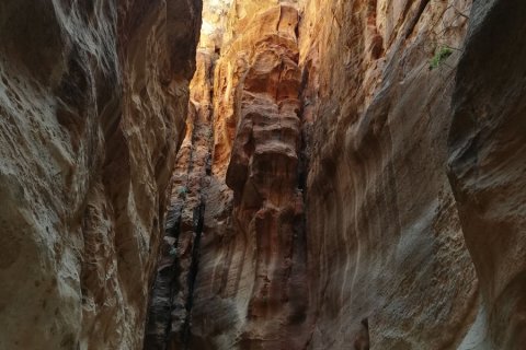 Jordan_(17).jpg