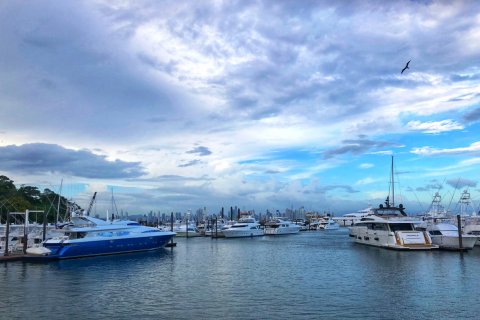 Panama_(24).jpg
