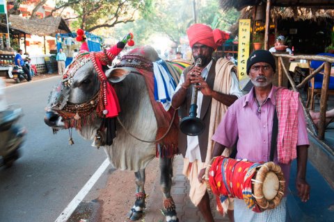 India_(11).jpg
