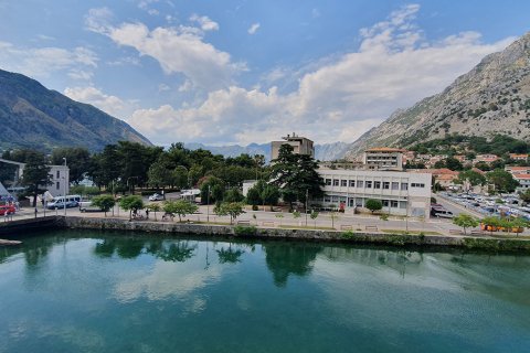 20190712_154100.jpg