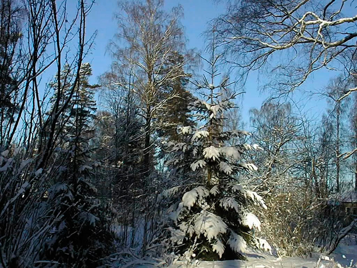 Finland-_1_.jpg