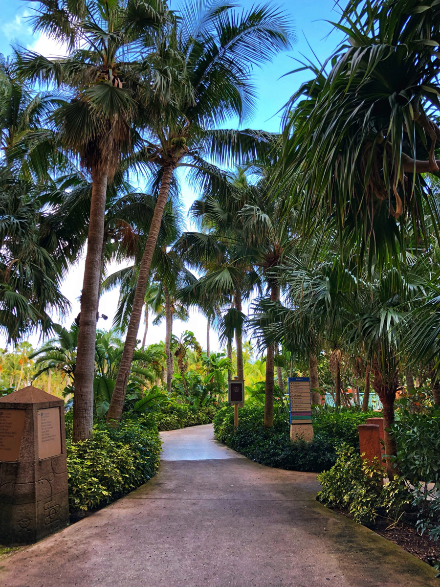 Bahamas_(40).jpg