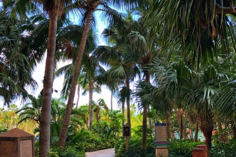 Bahamas_(40).jpg