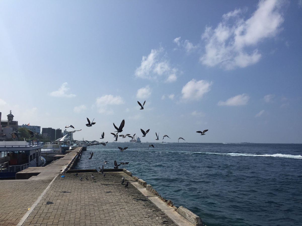 Maldives_(11).jpg
