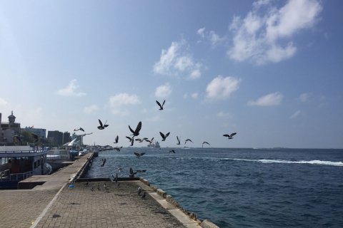 Maldives_(11).jpg