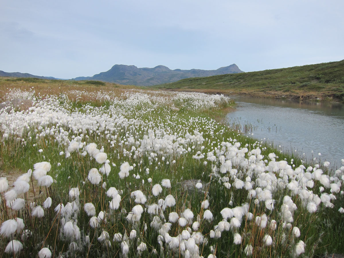 Greenland_(14).jpg